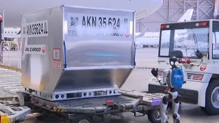 Japan Airlines to trial humanoid robots to handle rising visitor numbers