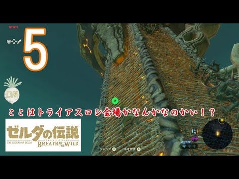 【カカリコ村】ゼルダの伝説　ブレスオブザワイルド　-The Legend of Zelda Breath of the Wild-【実況part5】