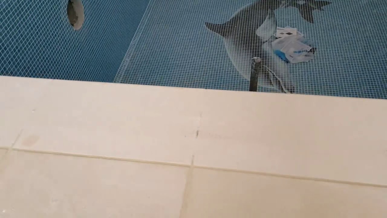 Great work in Kuwait city - YouTube