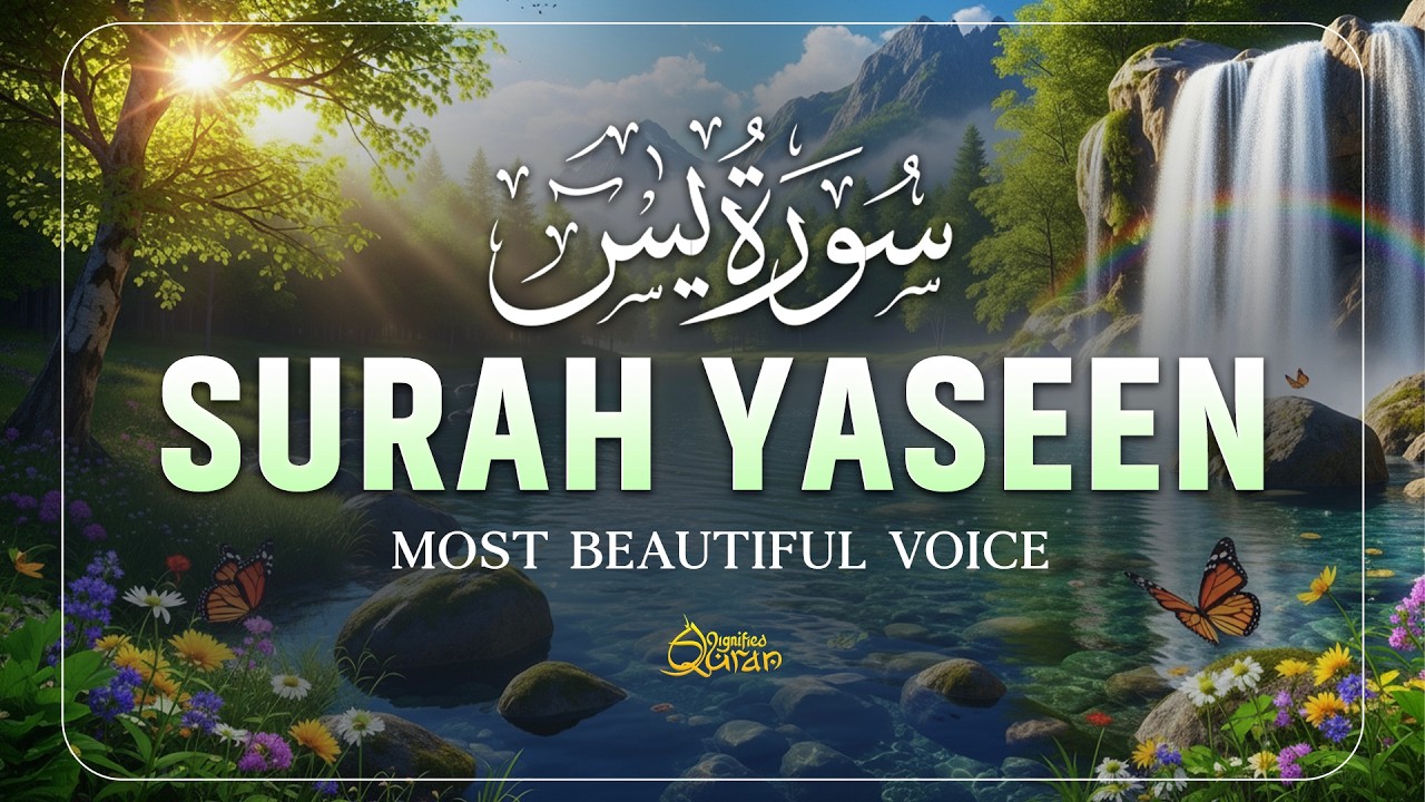 Surah Yaseen سورة يس | Deep Relaxing Quran Recitation for Sleep & Serenity by Alaa Aqel | D Quran