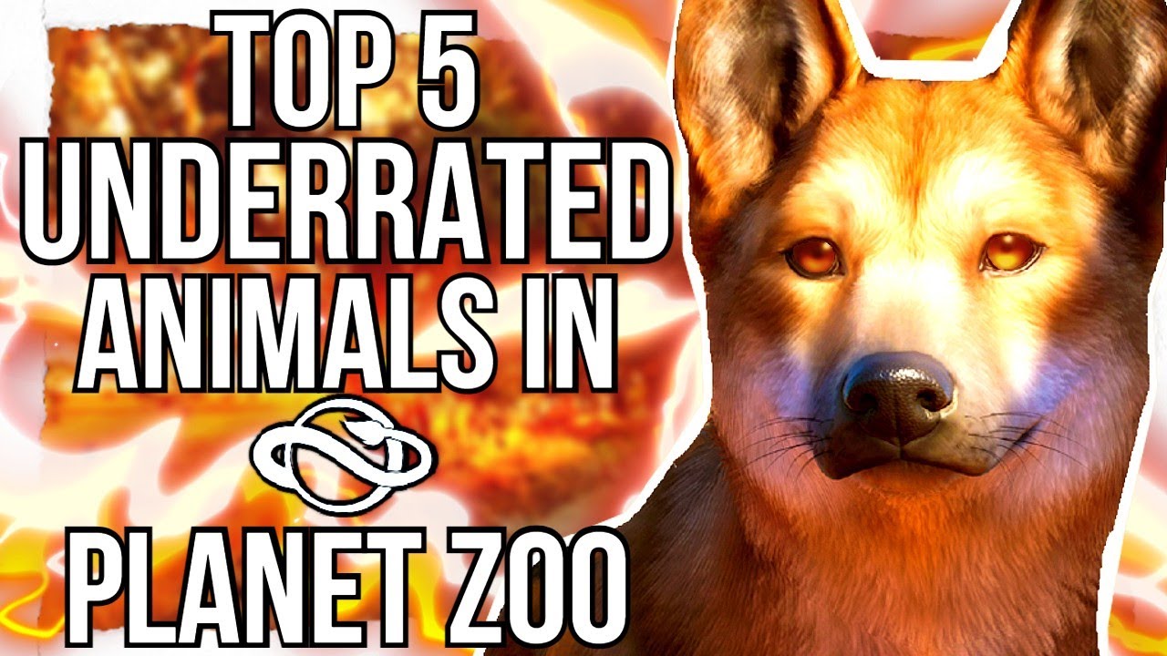 top-5-most-underrated-animals-in-planet-zoo-youtube