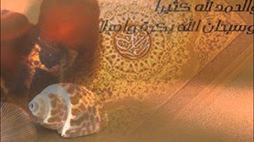 سورة الماعون و الكوثر 1432  ~ حسين آل الشيخ ~