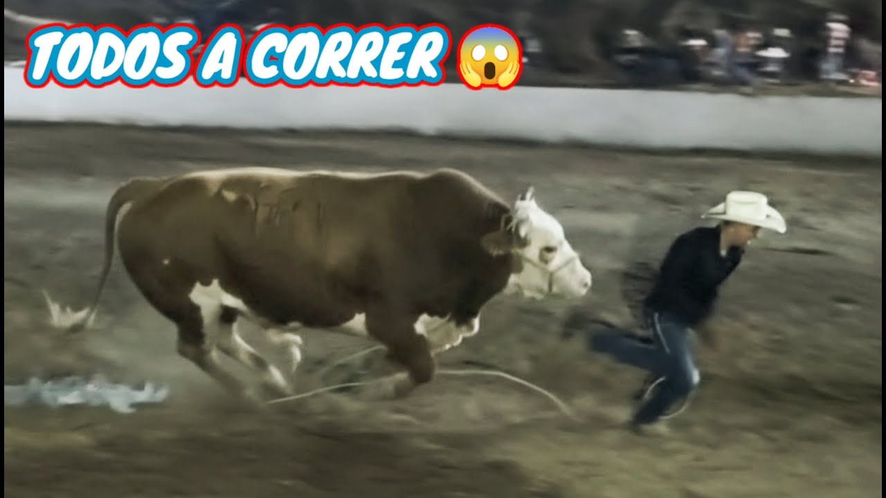 TRES TOROS PELIGR0S0S -JARIPEO  Nocturno 