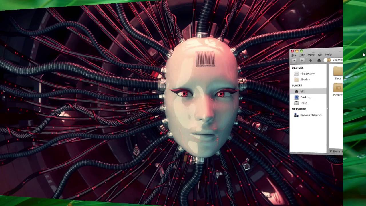 Linux Compiz Demonstration