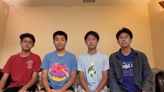 Naperville students win Congressional App Challenge with EcoSense app