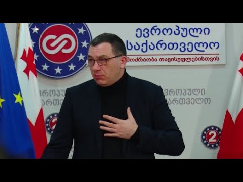 „ევროპულ საქართველოს“  არავინ ტოვებს, დისკუსია მხოლოდ პარტიის გეგმებს უკავშირდება - ბოკერია