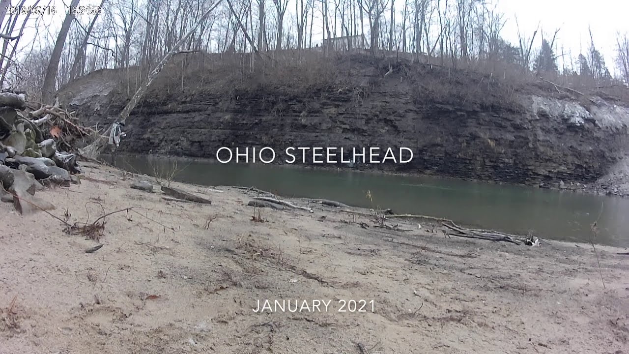 Winter Ohio Steelhead (Private Property)