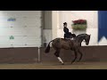 Side saddle BSHA hunter champs 2017