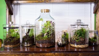 Satisfying & Relaxing Terrarium Art