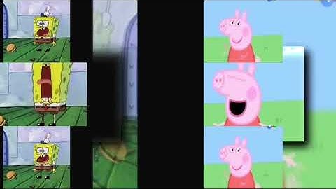 31 Shuric Scans With are slides V4