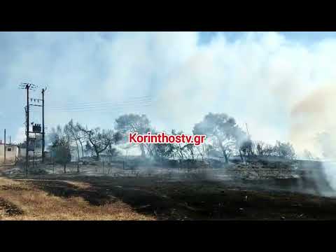Φωτιά Κυρά Βρύση Ισθμίας 
