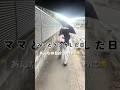 ママとケンカして話さなかった日#Shorts