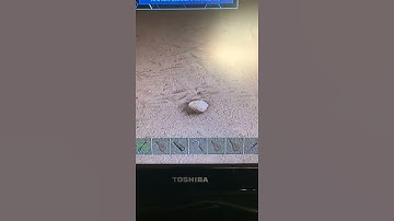 How to spawn sabertooth in ARK survival evolved