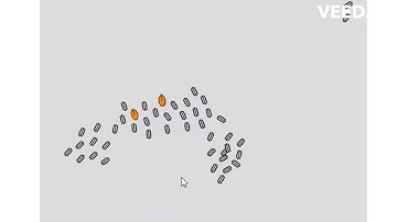 An Interactive Ecosystem Simulation in p5js (an AI Generated Video)