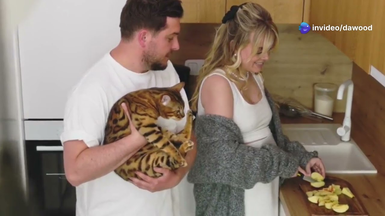 cooking with cats. perfect recipes