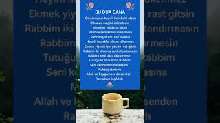 Bu Duâm Sana Insesi