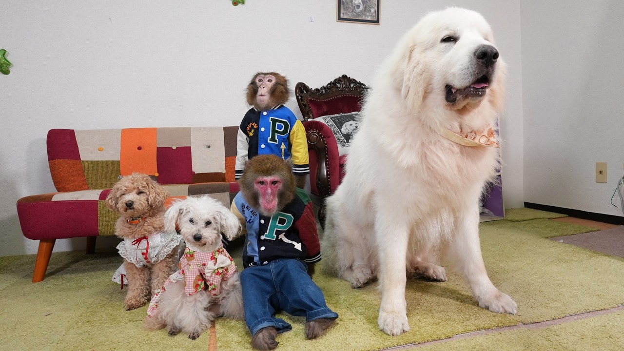 これが、みんなで撮る最後の集合写真になりました