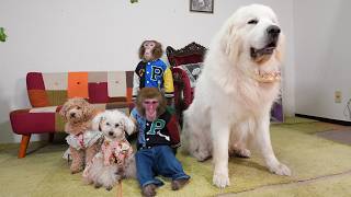 これが、みんなで撮る最後の集合写真になりました