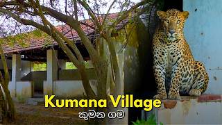Kumana Village | කුමන ගම