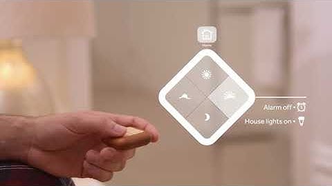 Create a live action explainer video