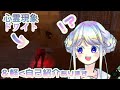 【dbd】自己紹介&ドクターで遊んでたらサバイバー透明バグにあう【ひーちゃ/vtuber】