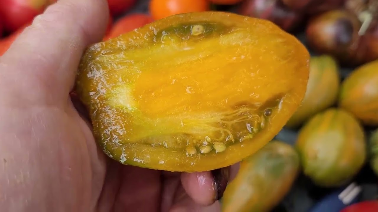 28 июля 2024 г.