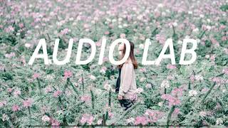 herbal tea - Artificial.Music [Vlog No Copyright Music]