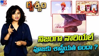 Drishyam : నిజంగా నారియల్ పూజకు శాస్త్రీయత ఉందా ? | Jodhpur - TV9