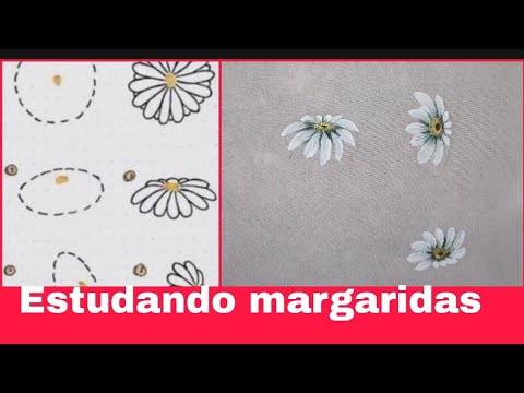 Vídeo: Como é uma margarida pintada?