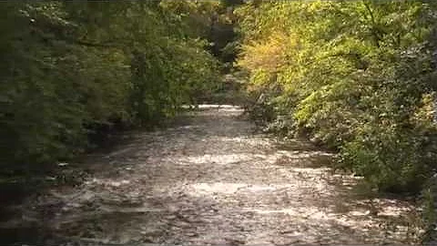 Great Smoky Mountains: Horace Kephart's Smoky Moun...