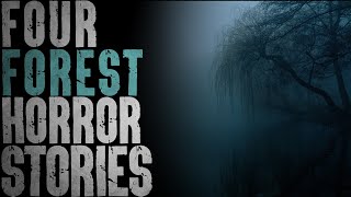 4 Unsettling Stories about the Woods Wealth