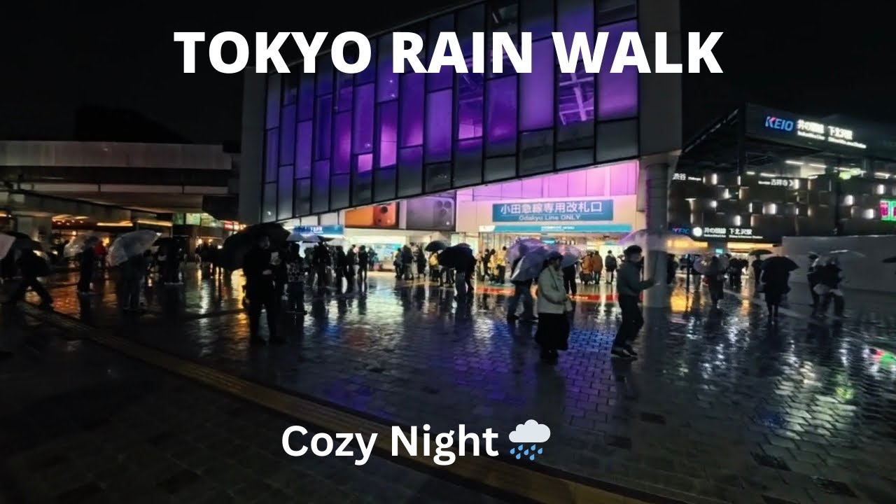 Rainy Night Walk in Shimokitazawa 🌧️ Tokyo Cozy Streets & Neon Reflections [4K]