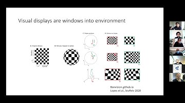 Introduction to BonVision - Presentation at "Visual Reactive Programming – Bonsai" January 2021