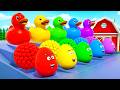 Magic Surprise Eggs Colorful Balls And Ducks Learn Colors For Kids DuZoo Kids Songs 