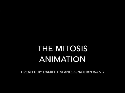 Bio Candy Mitosis Animation