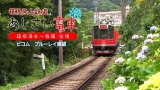 箱根登山鉄道　あじさい電車　箱根湯本～強羅　往復