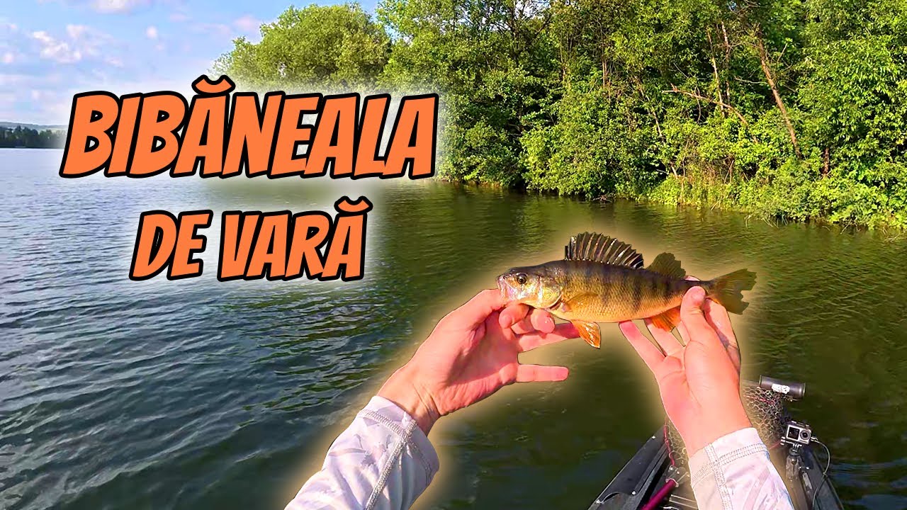 Bibani Fără Numar - Pescuit Din Caiac pe Lacul Gilău