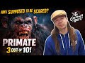 Primate (2025)Horror Movie Review