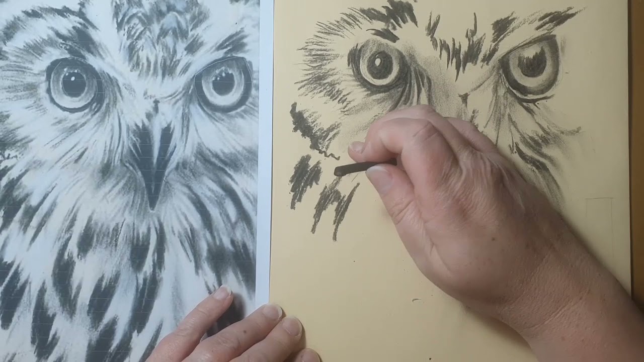 Charcoal Owl Drawing
