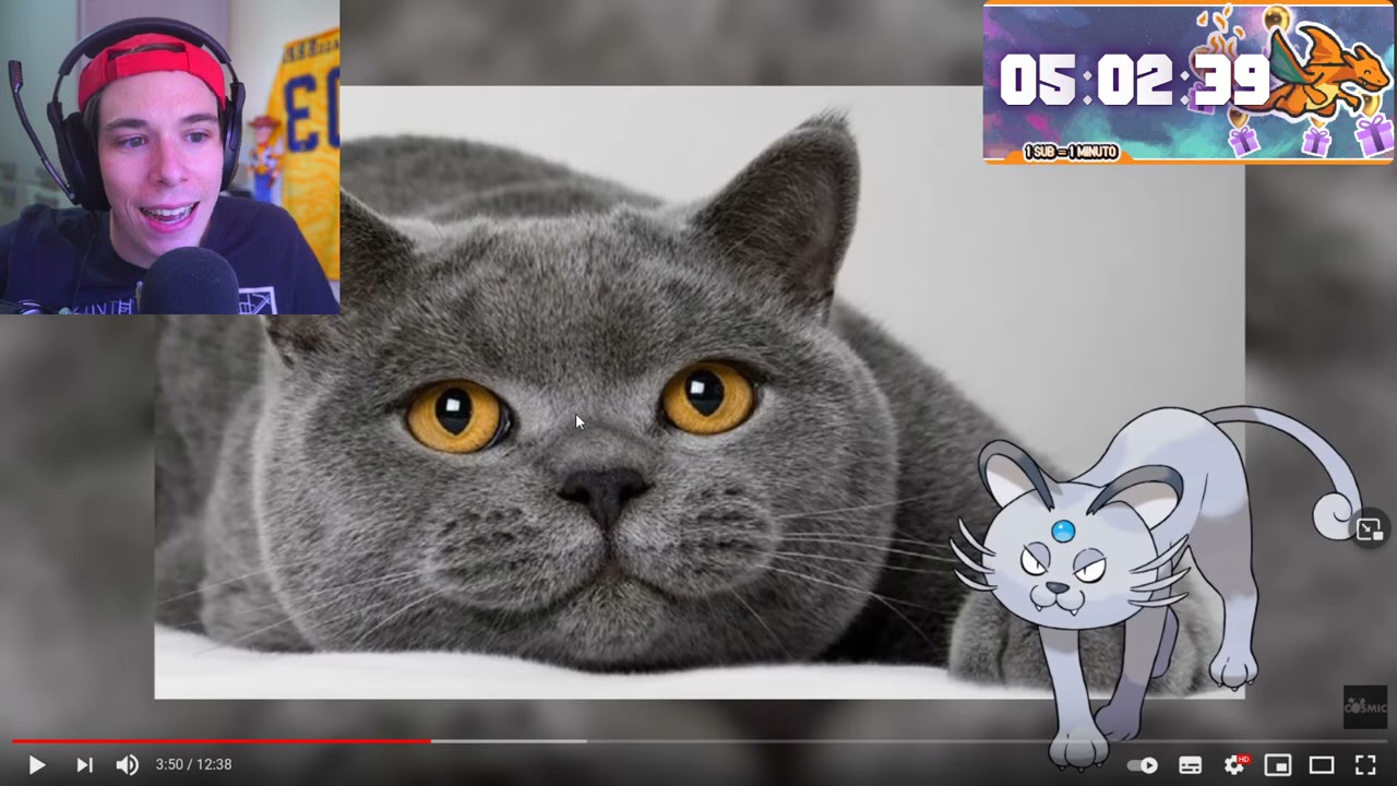 Folagor Reacciona Explico TODOS los PERROS y GATOS de Pokémon