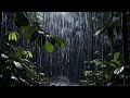 🔴 Live 🌧️ Soft Rain Forest Sounds for deep sleep meditation, relaxing the body, mind fully tonight
