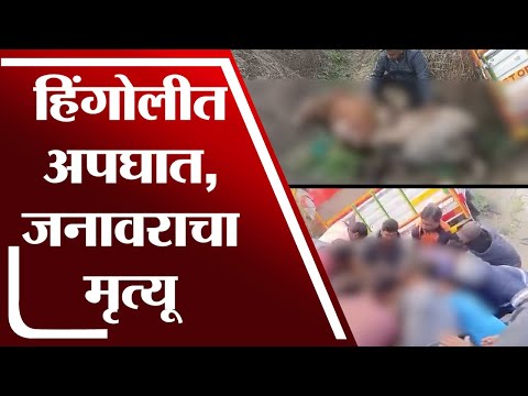 Hingoli च्या लिंगदरी शिवारात अपघात | Hingoli Accident |