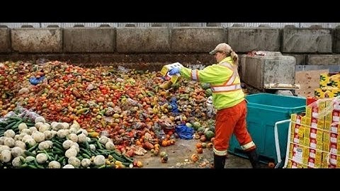 Act Now Project. Climate Conversations- Looking at a global food waste problem with local solutions.