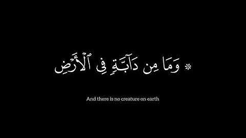 سورة هود (آية 6)