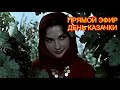 Прямой эфир. День казачки. История праздника. Розыгрыш подарков.