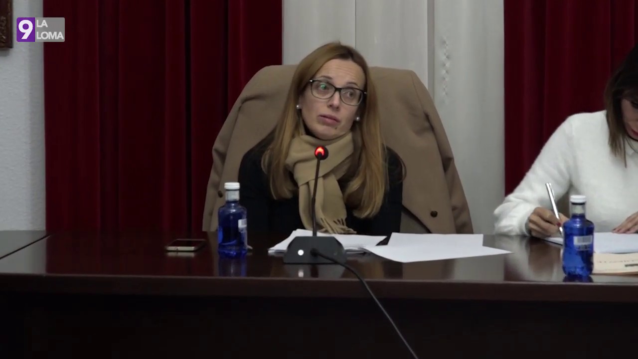 Pleno Ordinario Begíjar 4.1.2019