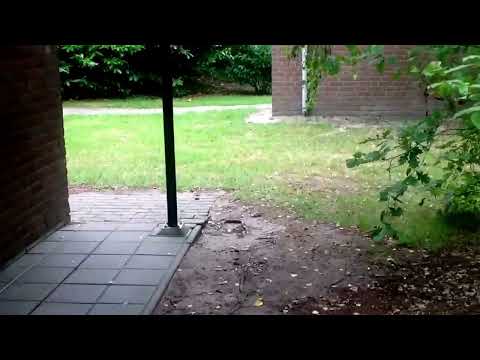 Weerterbergen Weert Limburg Nederland Niederlande Roompot Ferien Holidays