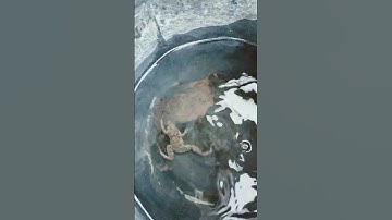 mình khát nước quá nước này hơi đen nhưng chắc uống được và cái kết