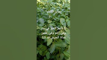 #اكسبلور #quran #لايك #تيك_توك #تلاوات #ترند #الرحمن #علم_النفس #القاريء #صباح_الخير