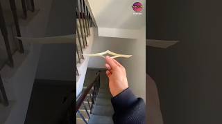 Paper Wings Making